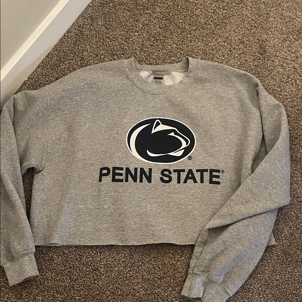 Gray Penn State Cropped Sweatshirt